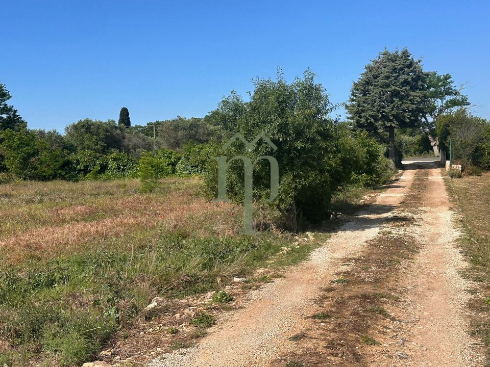 Ruin i Carovigno, Brindisi - bilde 4